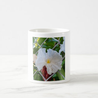 A jailed beauty coffee mug