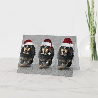 A Jasper SausageChristmas Holiday Card