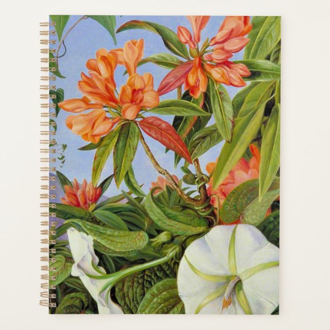 A Javan Rhododendrum and Ipomoea Planner (Front)