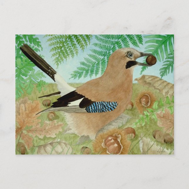 A Jay in the fall Postcard (Front)
