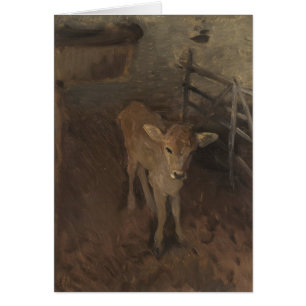 A Jersey Calf
