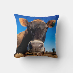 A Jersey cow being inquisitive Cushion