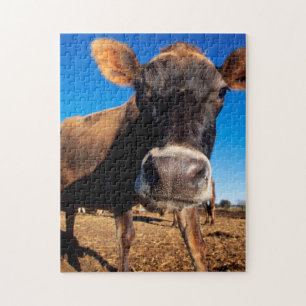 A Jersey cow being inquisitive Jigsaw Puzzle