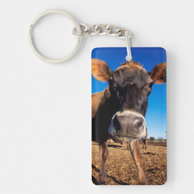 A Jersey cow being inquisitive Key Ring (Front)