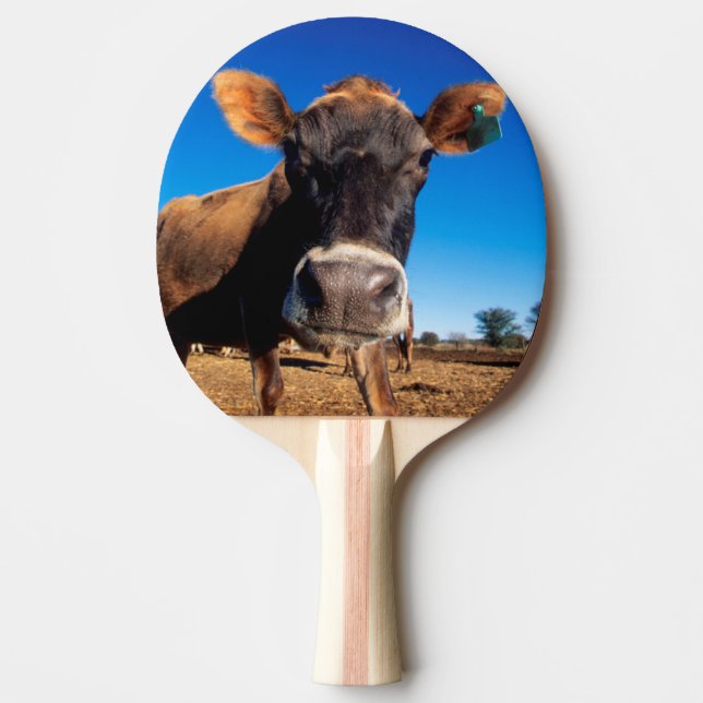 A Jersey cow being inquisitive Ping Pong Paddle (Front)