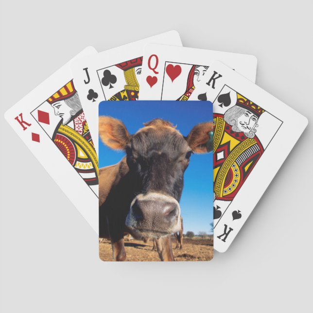 A Jersey cow being inquisitive Playing Cards (Back)