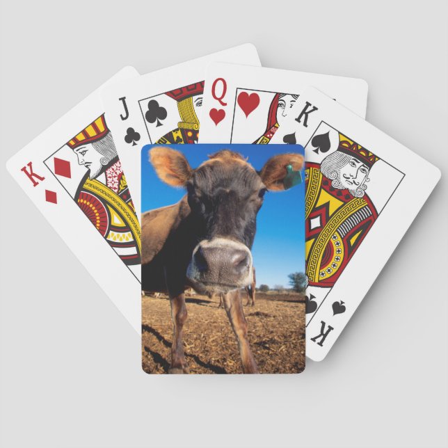 A Jersey cow being inquisitive Playing Cards (Back)