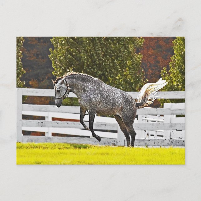 A Joyful Leap Postcard (Front)