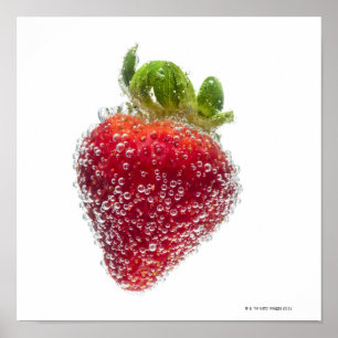 A juicy ripe organic Strawberry fruit submerged Poster