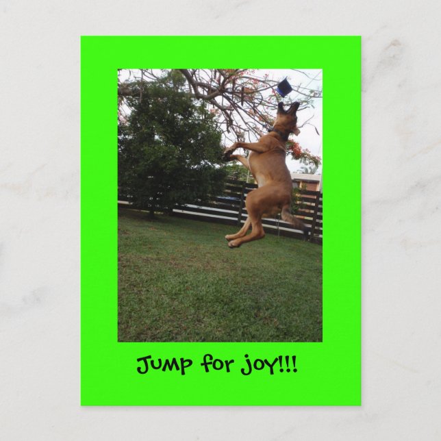 A jump for joy!! postcard (Front)