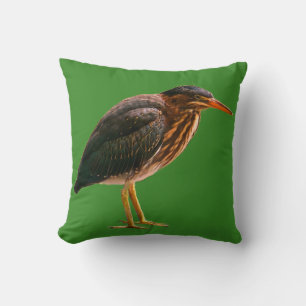 A juvenile Green Heron Cushion