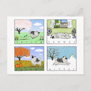 A Keeshond Enjoys the Four Seasons - Fun Dog Art Postcard