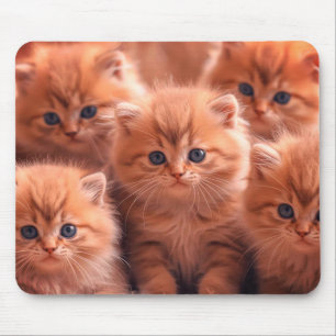 A Kindle Of Cute Kittens on Laptop Desktop Tablet Mouse Pad