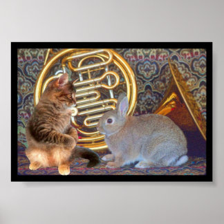 A Kitten, a Bunny and a French Horn Poster