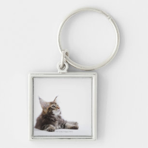 A kitten of Maine Coon cat Key Ring