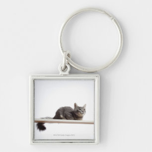 A kitten of Saiberian cat on the board Key Ring
