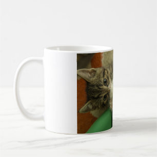 A Kitty At Play Coffee Mug