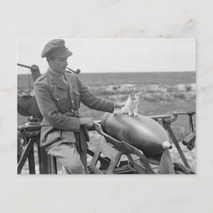A Kitty at War Postcard