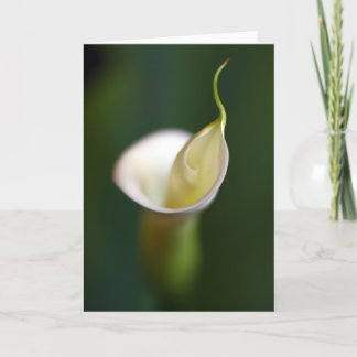 A lady in white card