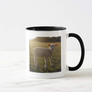 A Lamb at the Setting of the Sun Sweden Mug