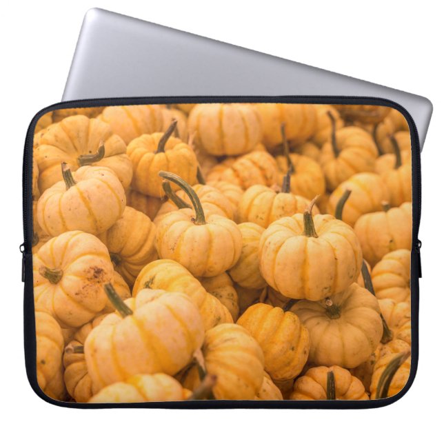 A large amount of Pumpkins Laptop Sleeve (Front)