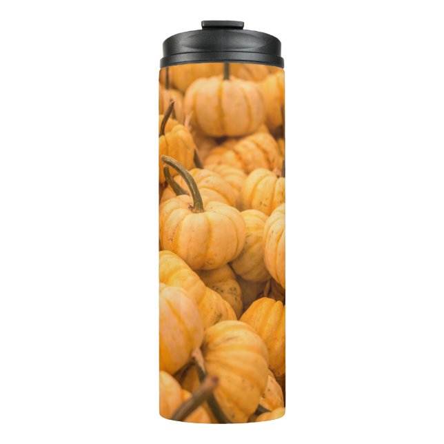 A large amount of Pumpkins Thermal Tumbler (Front)