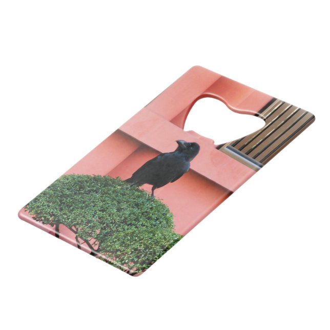 A Large-Billed Jungle Crow A Perch On A Cloud Tree (Front Angled)