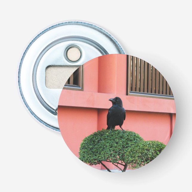 A Large-Billed Jungle Crow A Perch On A Cloud Tree Bottle Opener (Front)