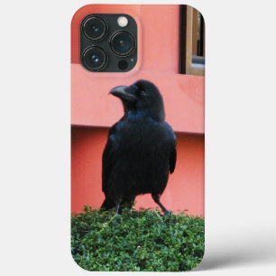 A Large-Billed Jungle Crow A Perch On A Cloud Tree iPhone 13 Pro Max Case