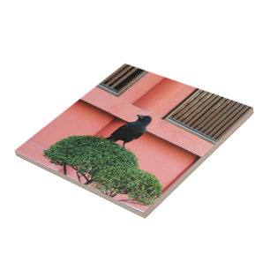 A Large-Billed Jungle Crow A Perch On A Cloud Tree Ceramic Tile