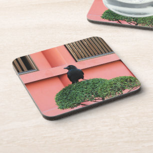 A Large-Billed Jungle Crow A Perch On A Cloud Tree Coaster