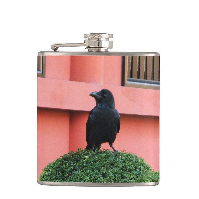 A Large-Billed Jungle Crow A Perch On A Cloud Tree Hip Flask (Front)