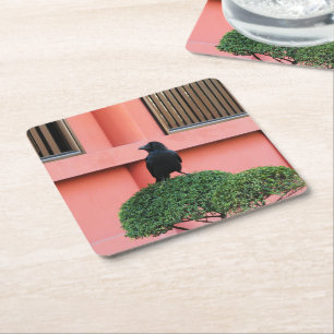 A Large-Billed Jungle Crow A Perch On A Cloud Tree Square Paper Coaster