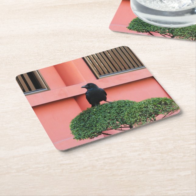A Large-Billed Jungle Crow A Perch On A Cloud Tree Square Paper Coaster (Angled)