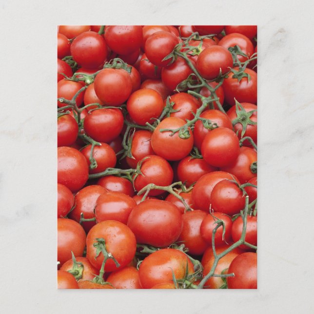 A large crop of tomato on a market stall in postcard (Front)