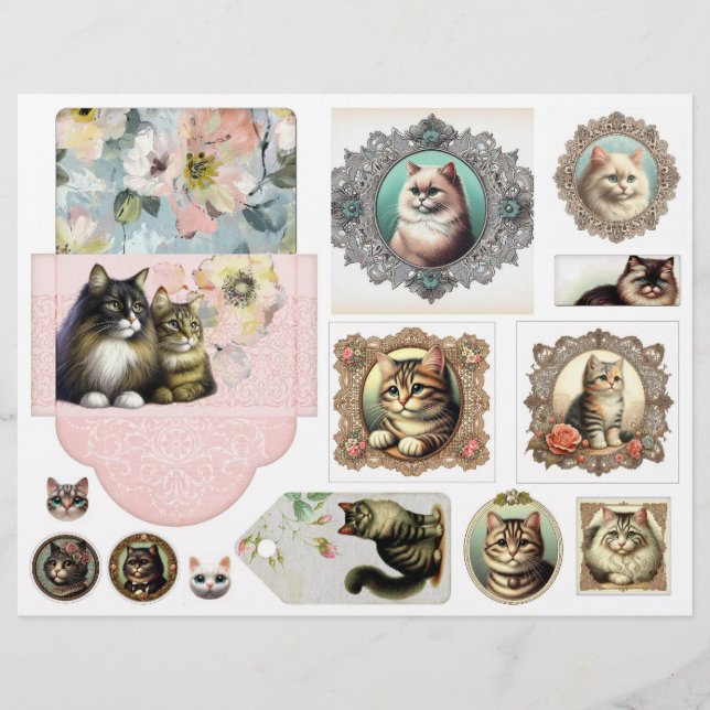 A Large Envelope Plus Pretty Cats in Lacy Frames (Front)