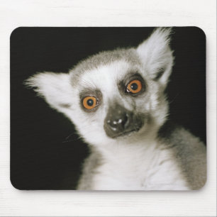 A lemur. mouse pad