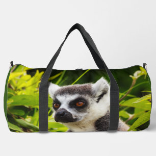 A lemur of Madagascar on duffle bag
