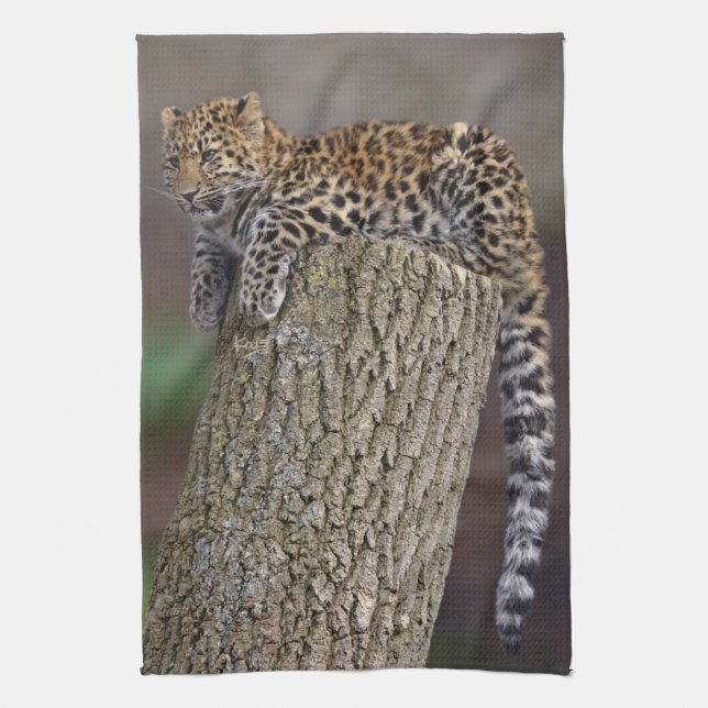 A Leopards Tail Kitchen Towel (Vertical)