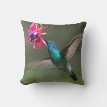A Lesser Violetear Hummingbird In Flight
