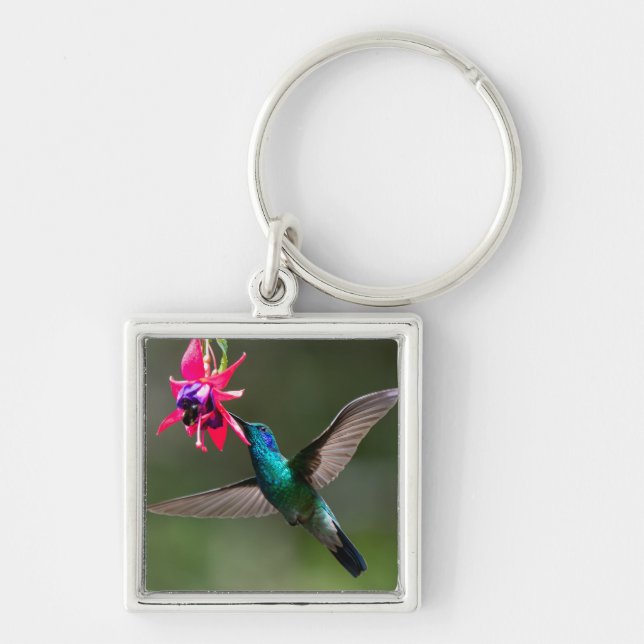 A Lesser Violetear Hummingbird Key Ring (Front)