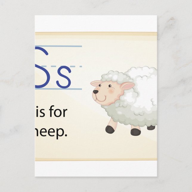 A letter S for sheep Postcard (Front)