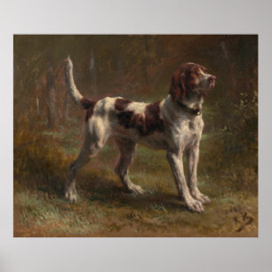A Limier Briquet Hound Poster