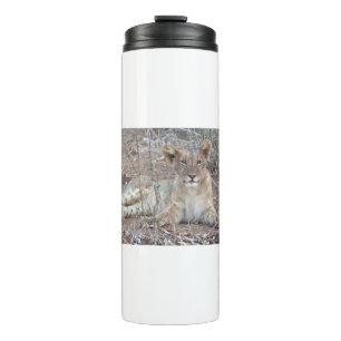A Lion Cub With A Sweet, Innocent Gaze. Thermal Tumbler
