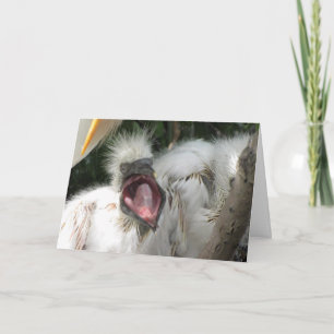 A Little Bird Birthday Card