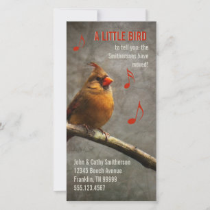 A Little Bird New Address Custom Photo Cards