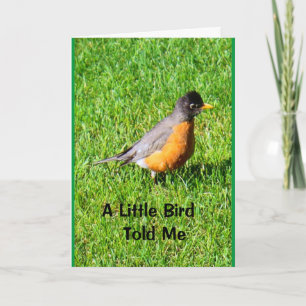 A Little Bird Told Me It's Your Birthday! Card