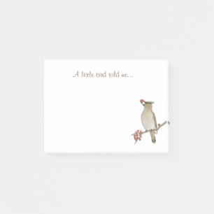 A Little Bird Told Me Post-it Notes