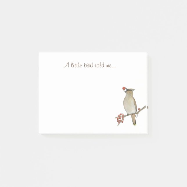 A Little Bird Told Me Post-it Notes (Front)