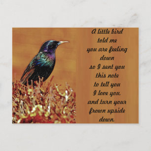 A Little Bird Told Me Starling Bird Photograph Postcard